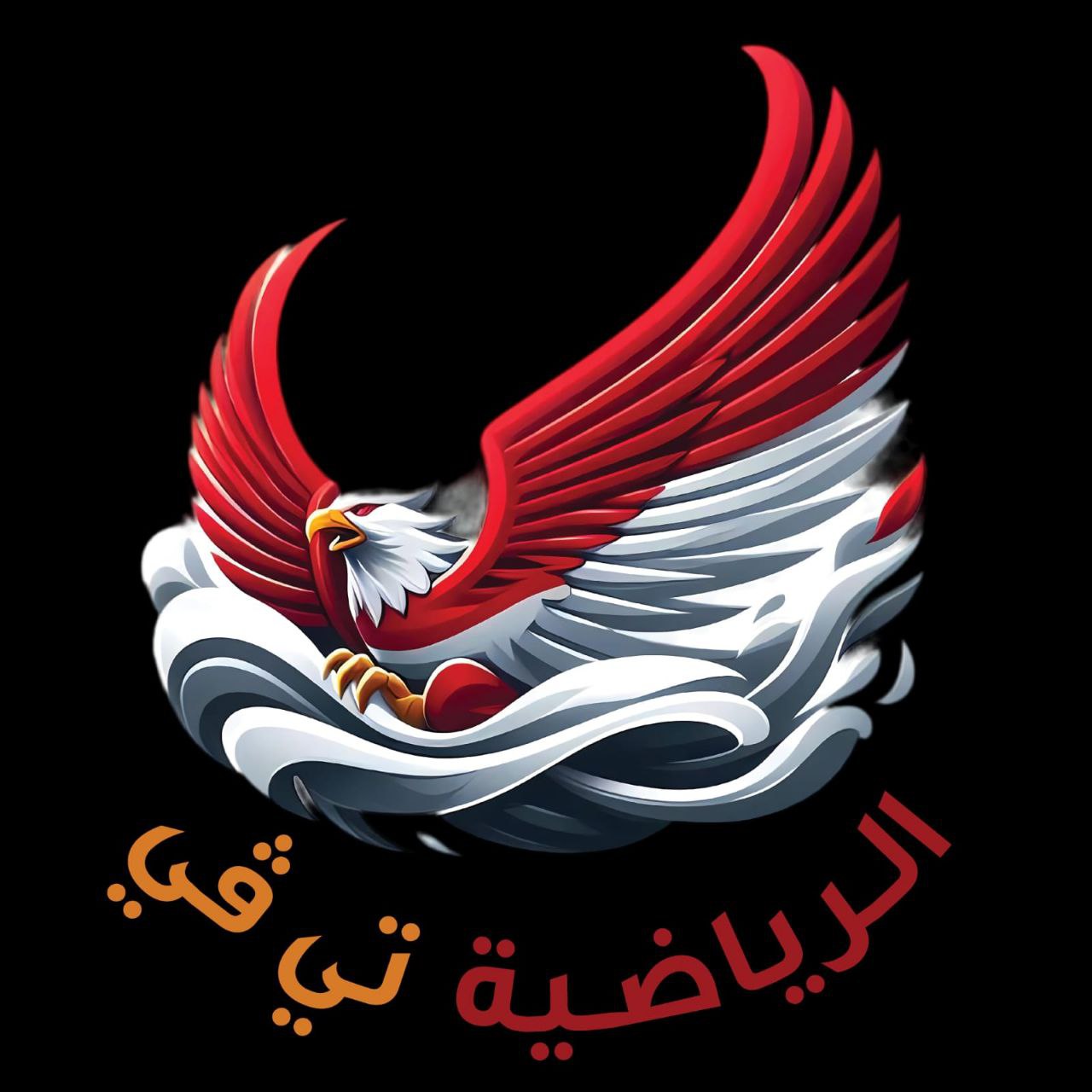 الرياضة تي في 